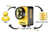 코그넥스, COGNEX DIRECTORY SERVER 소프트웨어 출시