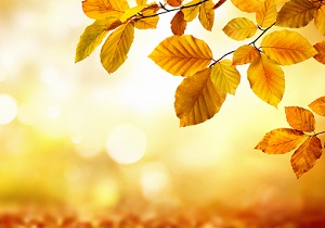 [말말말] 영상처리 기반 피부진단기기의 독창성에 대해 물었더니