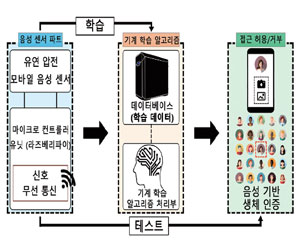 [신기술] 인간 귀 모사한 음성 센서, 초고감도 인공지능 음성인식 구현해