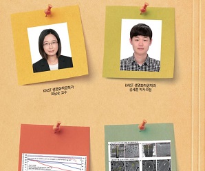 [테크 노트] 미래 전해액 소재 리딩할 리튬 금속배터리 용매 개발