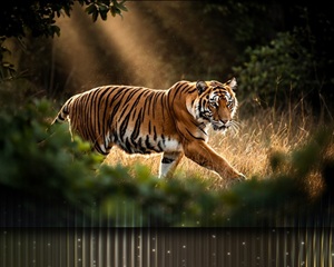 엔비디아, 플럭스.2 이미지 생성 AI 모델을 RTX GPU에 최적화해